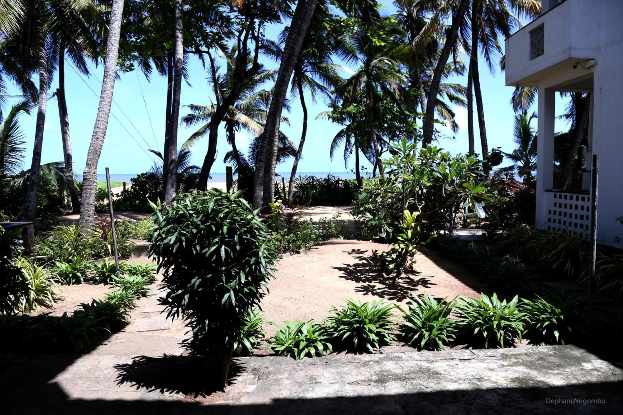 Dephani Beach Hotel เนกอมโบ ภายนอก รูปภาพ