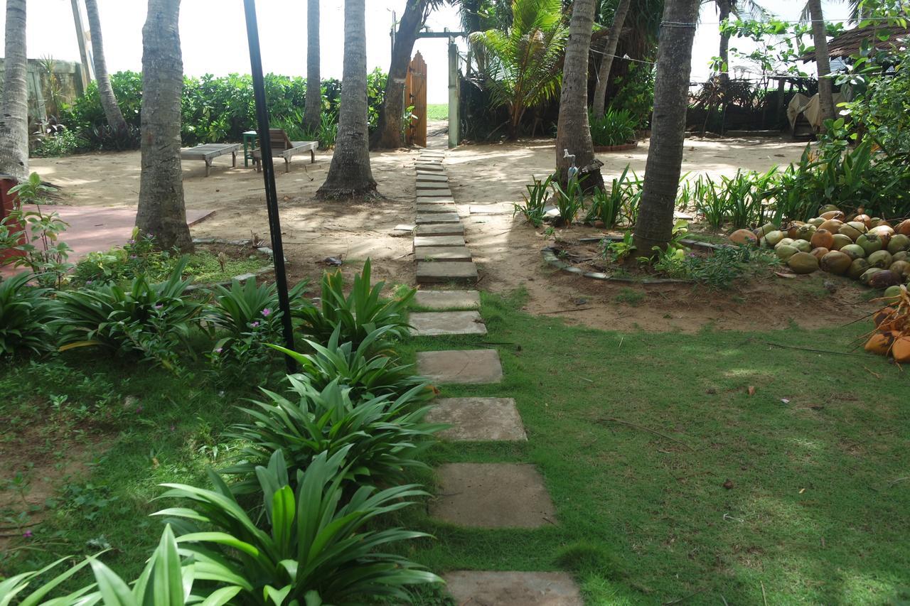 Dephani Beach Hotel เนกอมโบ ภายนอก รูปภาพ