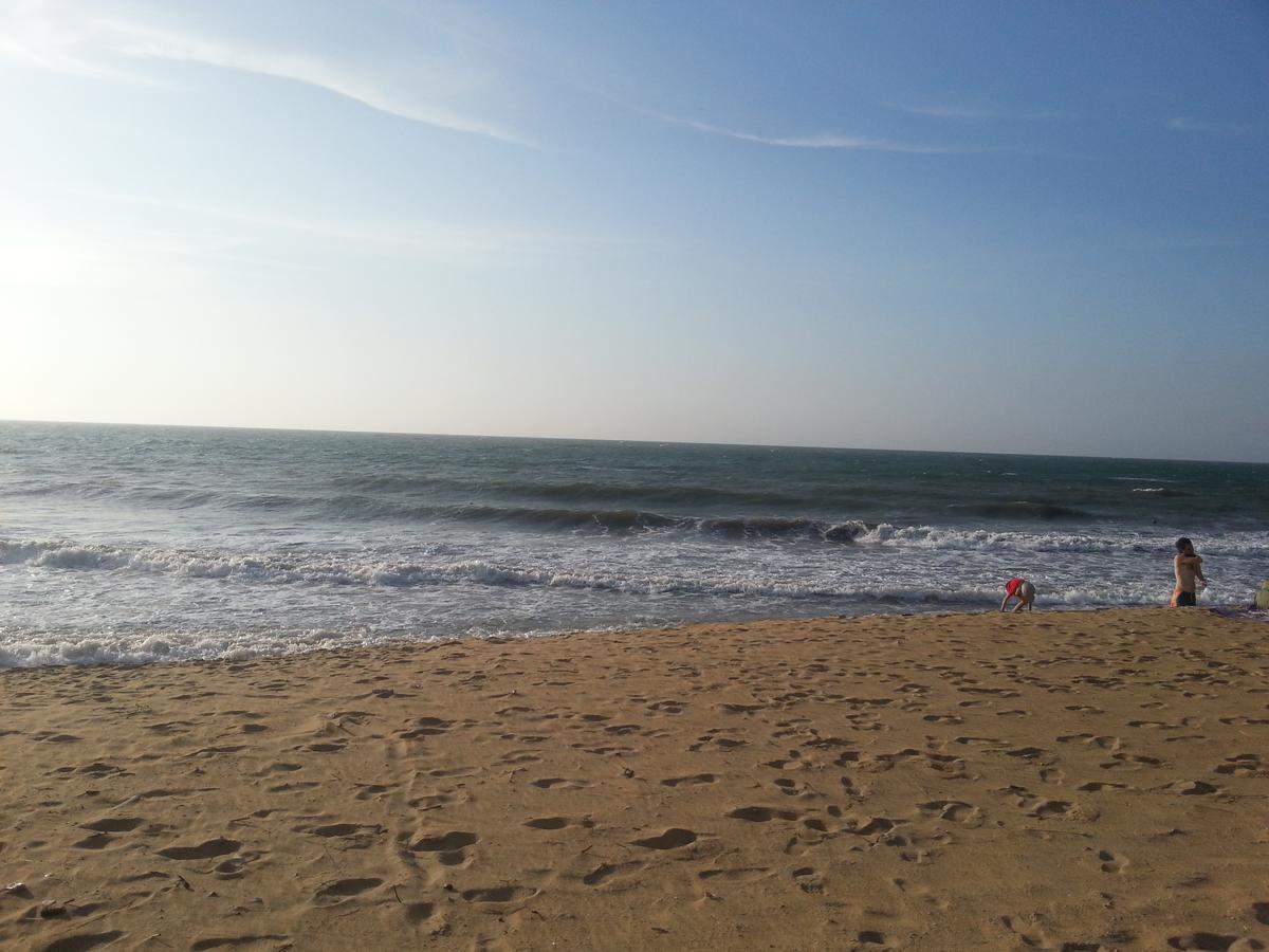 Dephani Beach Hotel เนกอมโบ ภายนอก รูปภาพ