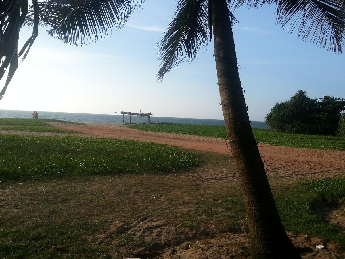 Dephani Beach Hotel เนกอมโบ ภายนอก รูปภาพ