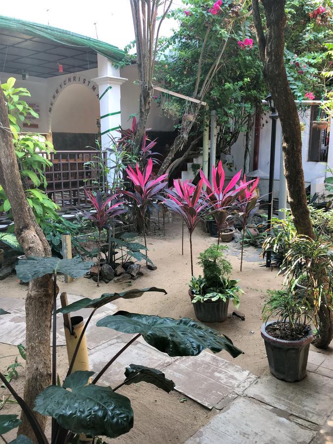 Dephani Beach Hotel เนกอมโบ ภายนอก รูปภาพ